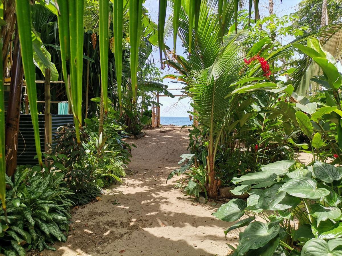 Oasis Beachfront Hostel Πουέρτο Λιμόν Εξωτερικό φωτογραφία
