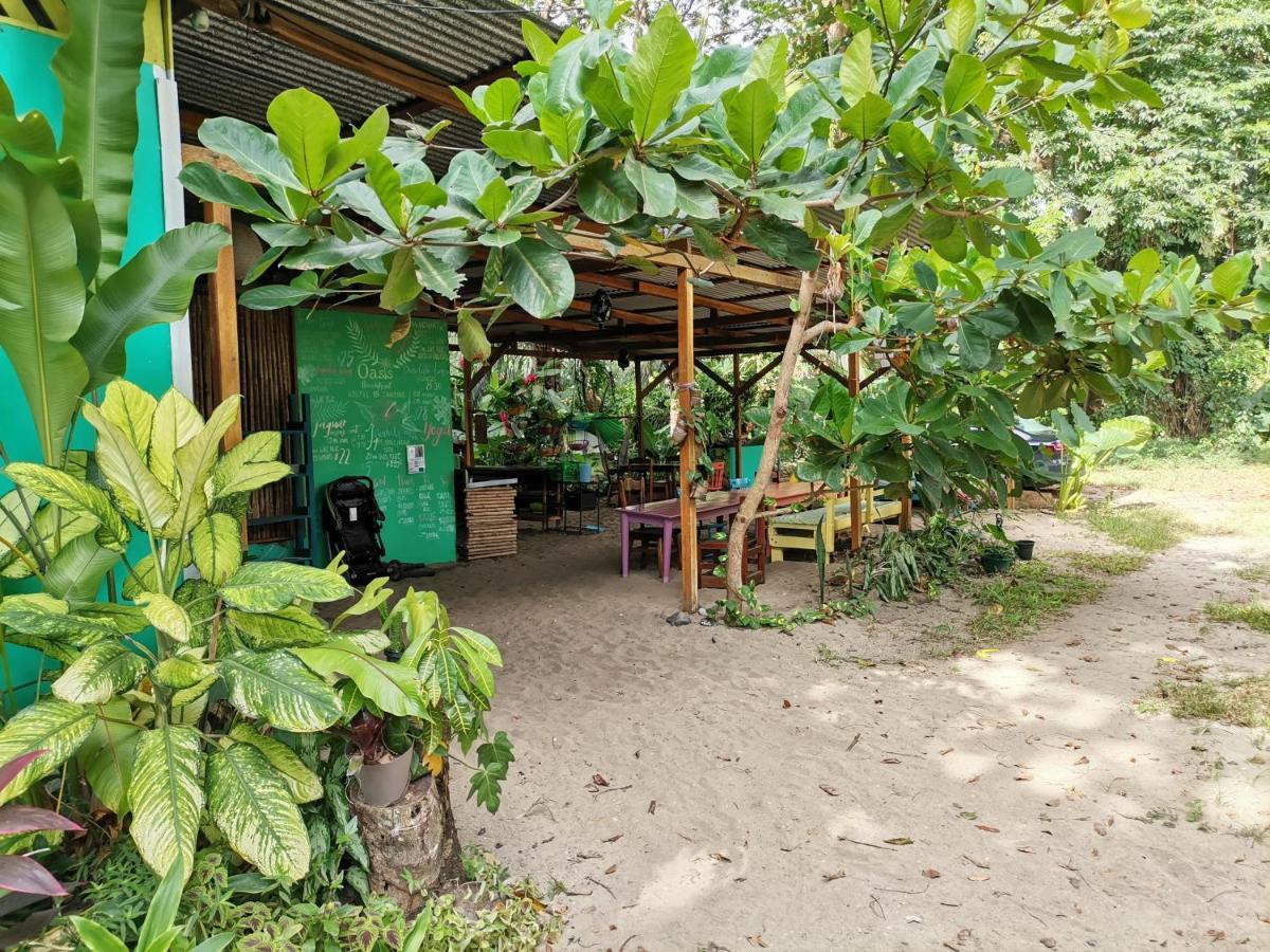 Oasis Beachfront Hostel Πουέρτο Λιμόν Εξωτερικό φωτογραφία