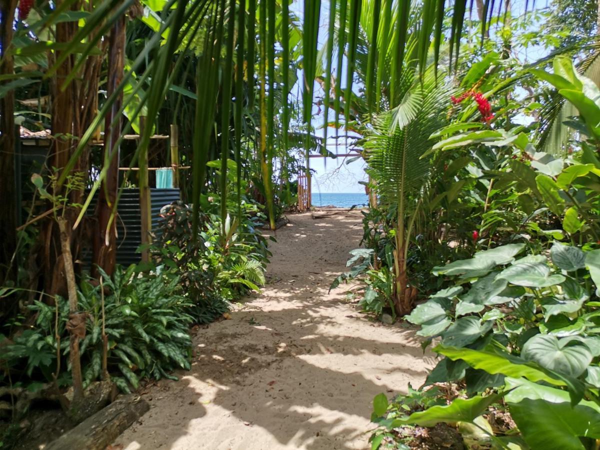 Oasis Beachfront Hostel Πουέρτο Λιμόν Εξωτερικό φωτογραφία