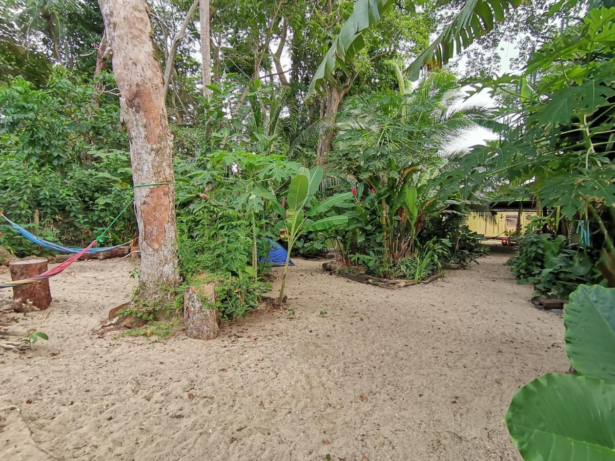 Oasis Beachfront Hostel Πουέρτο Λιμόν Εξωτερικό φωτογραφία