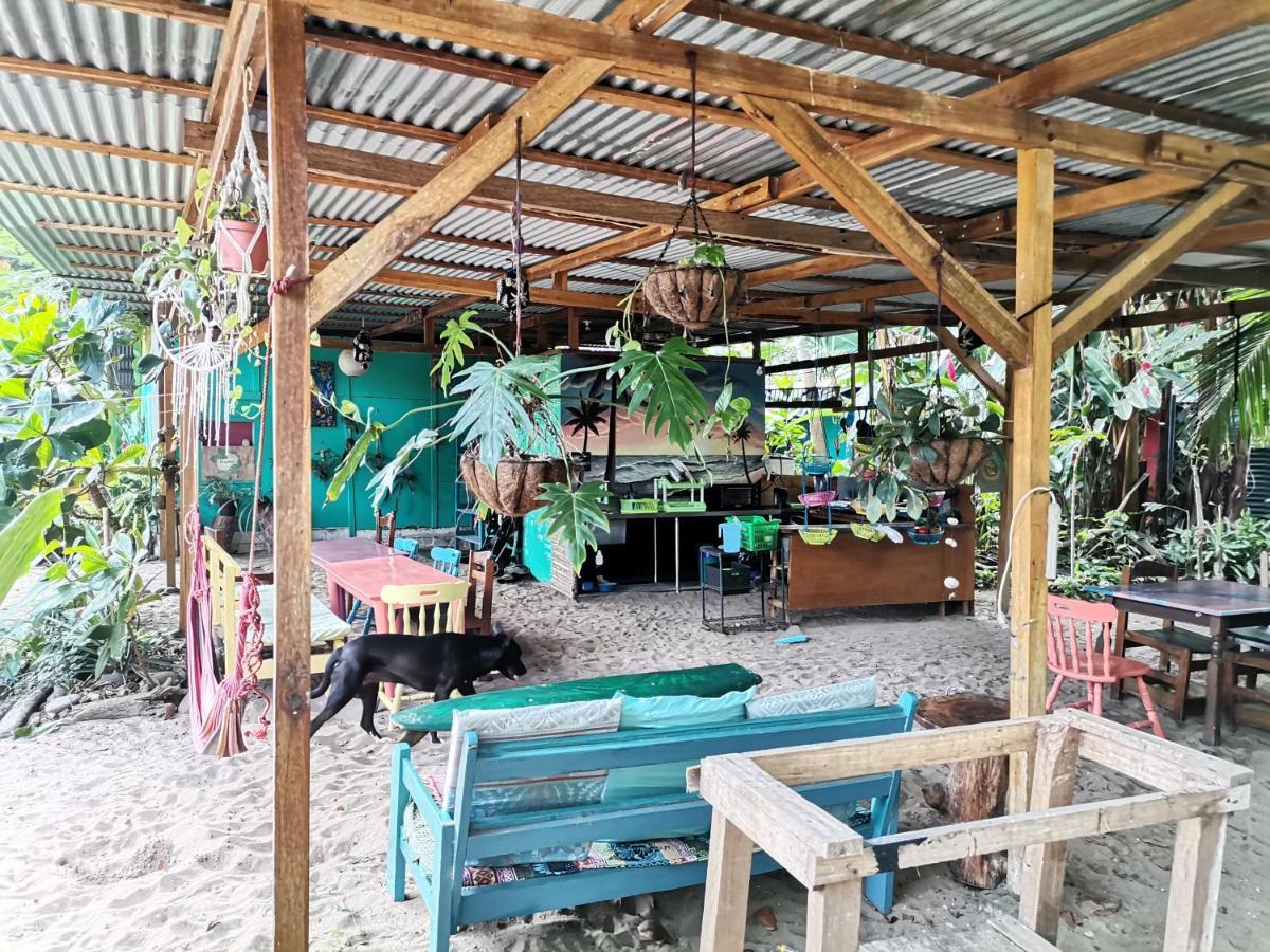 Oasis Beachfront Hostel Πουέρτο Λιμόν Εξωτερικό φωτογραφία