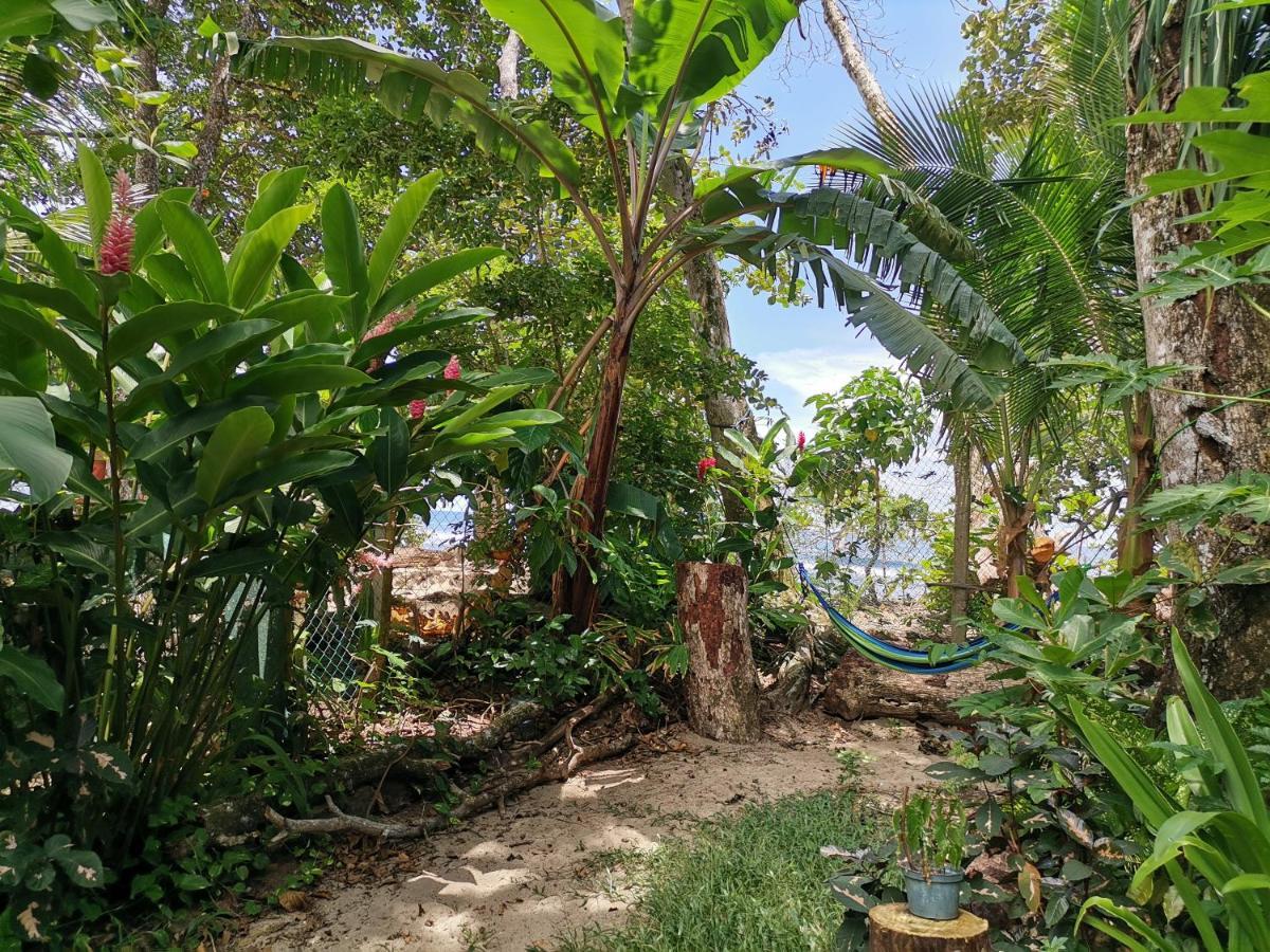 Oasis Beachfront Hostel Πουέρτο Λιμόν Εξωτερικό φωτογραφία